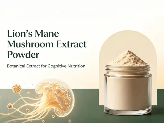 Lion's Mane Mushroom Extract Powder: Everything You Need to Know